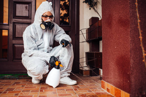 Reliable Wasp Removal contractor in Upper Exeter, PA by Show Me Pest Control